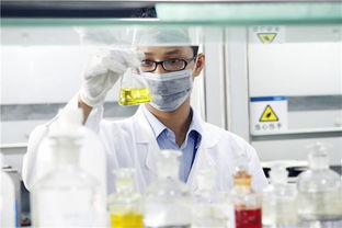 新高考“3+1+2”模式下，選定物理或歷史后，剩余兩科如何科學抉擇？—— 一份全面的信息咨詢服務指南